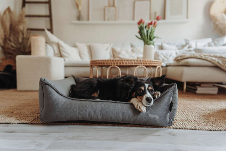 HUNTER Orthopädisches Hundesofa Merida